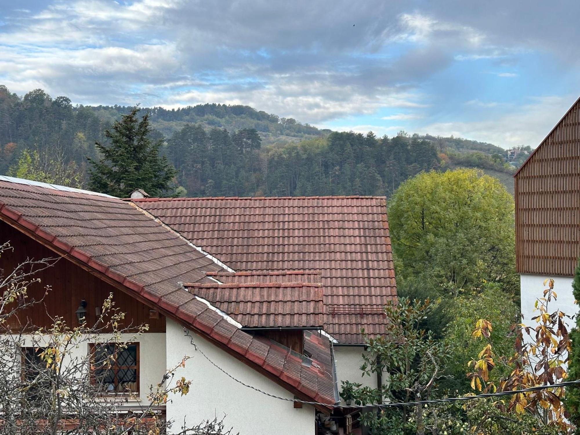 Schei House Διαμέρισμα Μπρασόβ Εξωτερικό φωτογραφία